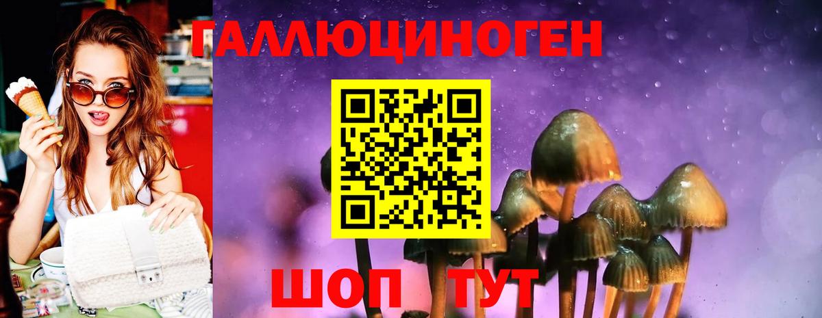 Псилоцибиновые грибы мухоморы  Псилоцибиновые грибы ЛСД  Вход с VPN  Ногинск 